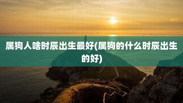 属狗人啥时辰出生最好(属狗的什么时辰出生的好)