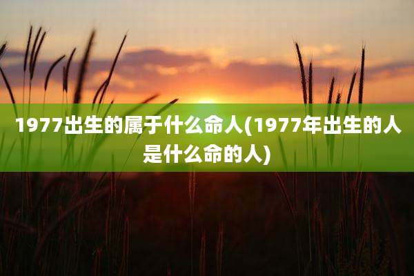 1977出生的属于什么命人(1977年出生的人是什么命的人)