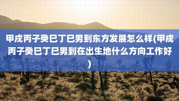 甲戌丙子癸巳丁巳男到东方发展怎么样(甲戌丙子癸巳丁巳男到在出生地什么方向工作好)