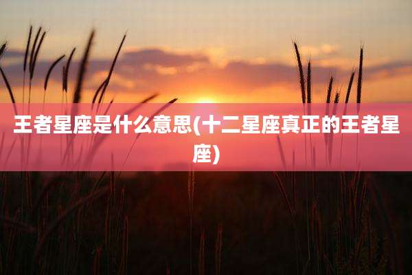 王者星座是什么意思(十二星座真正的王者星座)