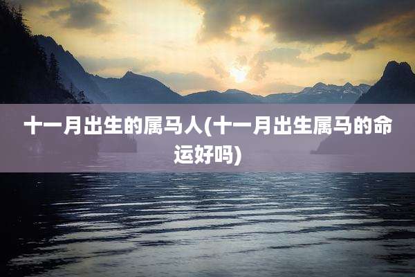 十一月出生的属马人(十一月出生属马的命运好吗)