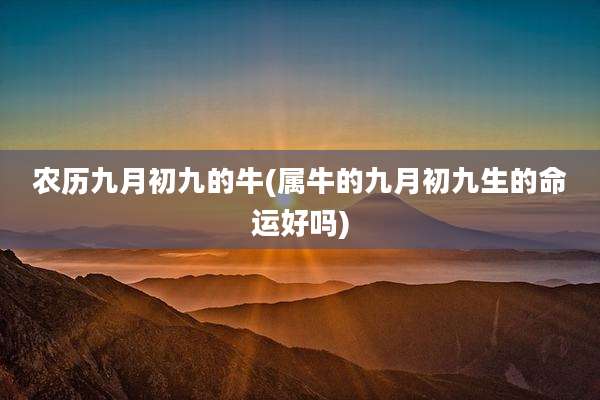 农历九月初九的牛(属牛的九月初九生的命运好吗)