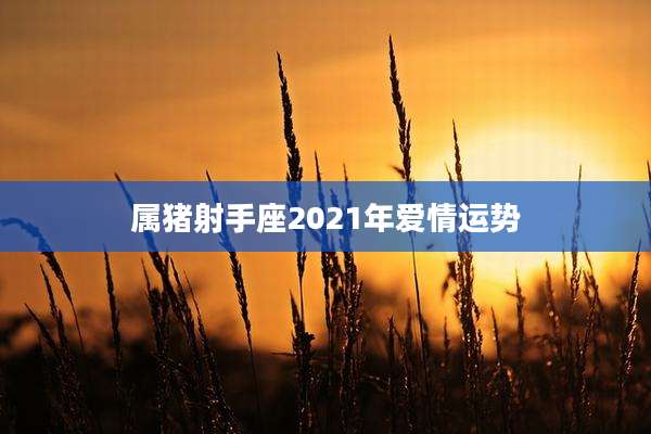 属猪射手座2021年爱情运势