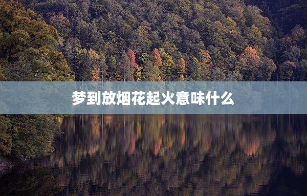 梦到放烟花起火意味什么