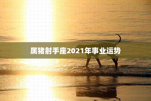 属猪射手座2021年事业运势