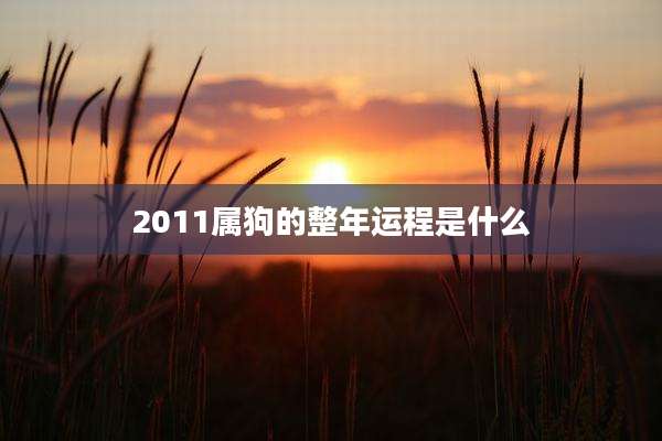 2011属狗的整年运程是什么