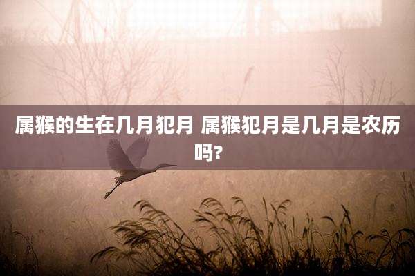 属猴的生在几月犯月 属猴犯月是几月是农历吗?