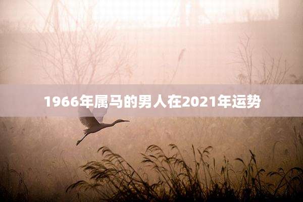 1966年属马的男人在2021年运势