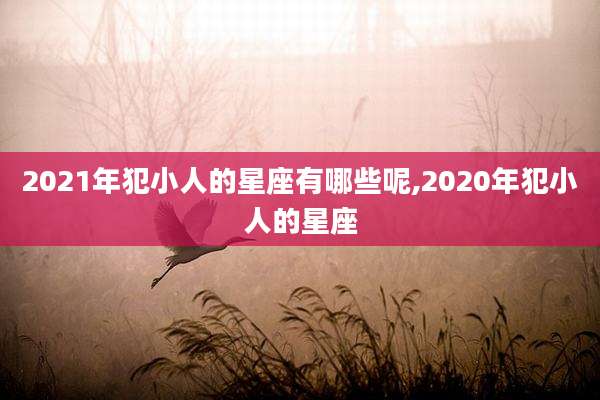 2021年犯小人的星座有哪些呢,2020年犯小人的星座