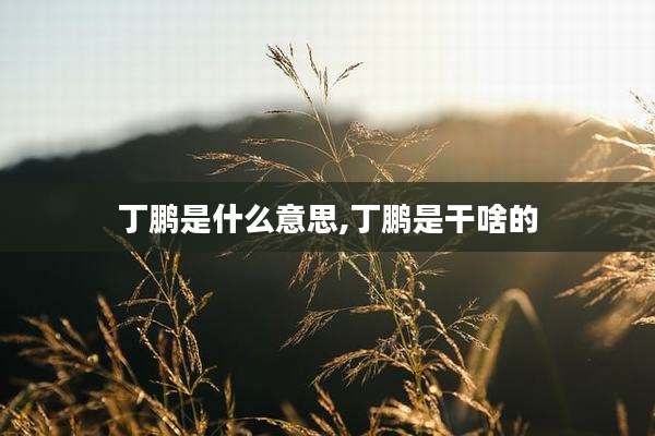 丁鹏是什么意思,丁鹏是干啥的