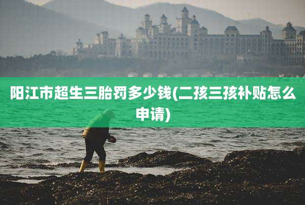 阳江市超生三胎罚多少钱(二孩三孩补贴怎么申请)
