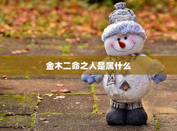 金木二命之人是属什么