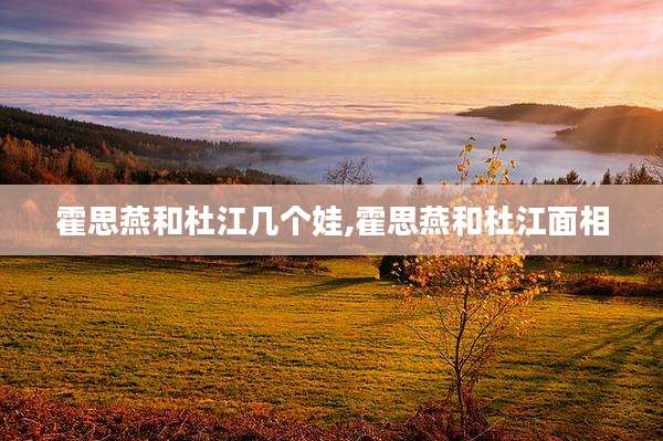 霍思燕和杜江几个娃,霍思燕和杜江面相