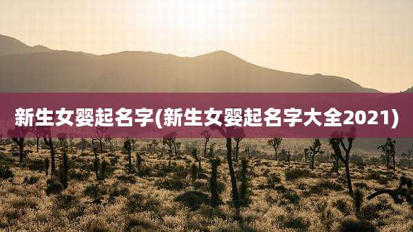 新生女婴起名字(新生女婴起名字大全2021)