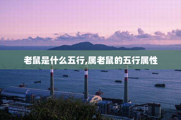 老鼠是什么五行,属老鼠的五行属性