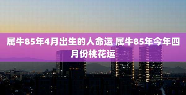 属牛85年4月出生的人命运 属牛85年今年四月份桃花运