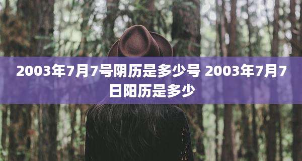 2003年7月7号阴历是多少号 2003年7月7日阳历是多少
