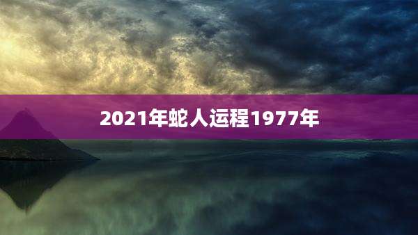 2021年蛇人运程1977年
