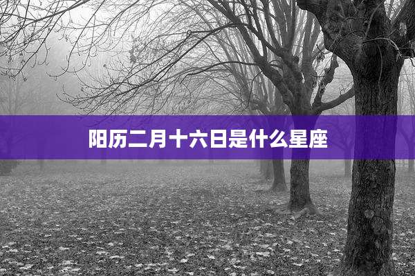 阳历二月十六日是什么星座