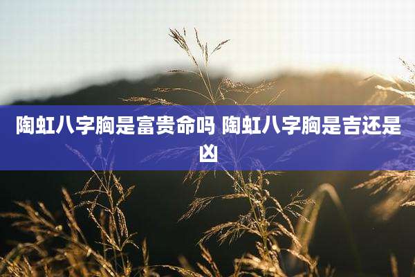 陶虹八字胸是富贵命吗 陶虹八字胸是吉还是凶