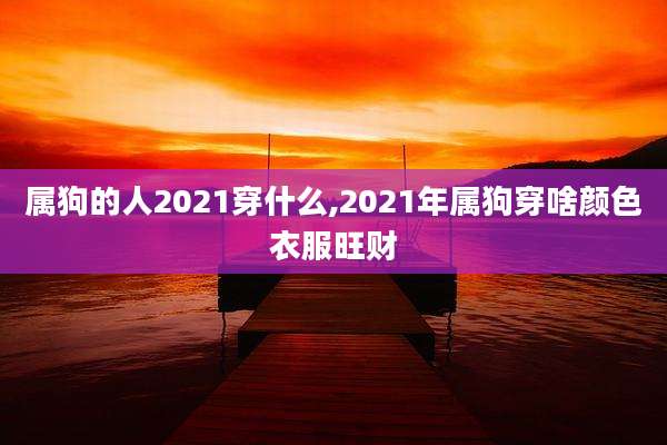 属狗的人2021穿什么,2021年属狗穿啥颜色衣服旺财