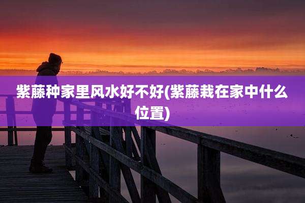 紫藤种家里风水好不好(紫藤栽在家中什么位置)