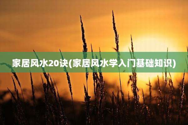 家居风水20诀(家居风水学入门基础知识)