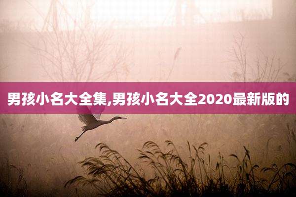 男孩小名大全集,男孩小名大全2020最新版的