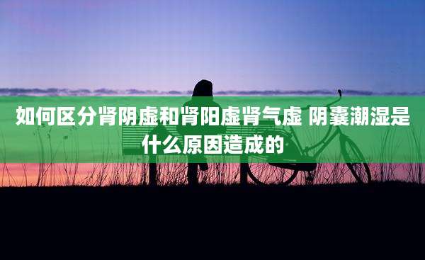 如何区分肾阴虚和肾阳虚肾气虚 阴囊潮湿是什么原因造成的