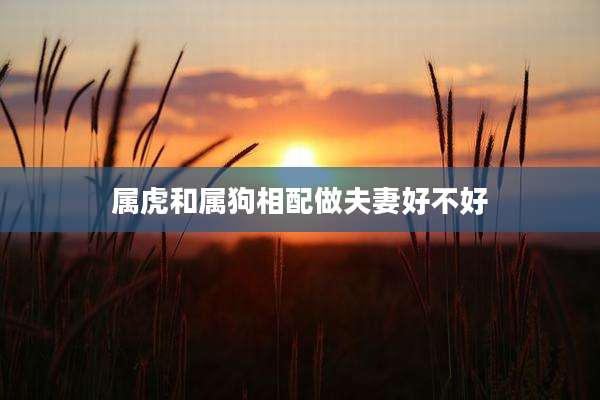 属虎和属狗相配做夫妻好不好