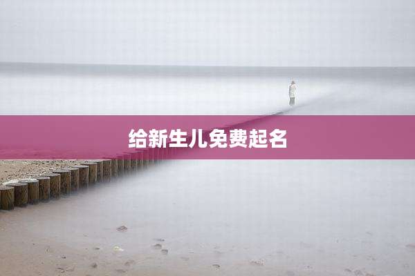 给新生儿免费起名