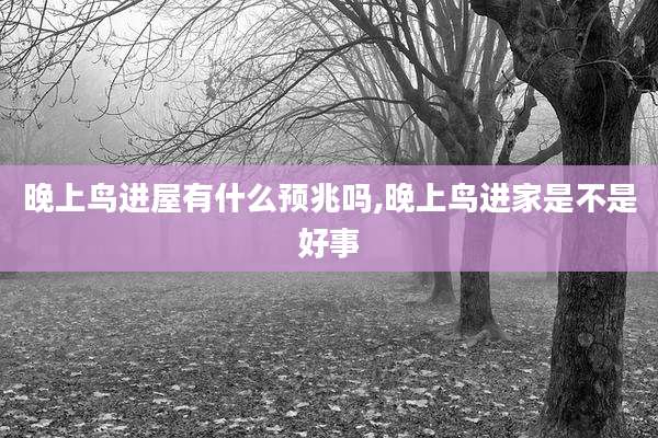 晚上鸟进屋有什么预兆吗,晚上鸟进家是不是好事