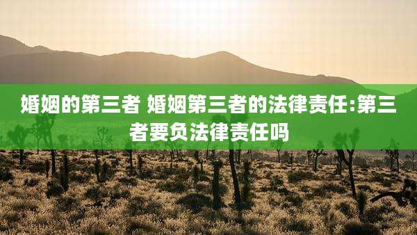 婚姻的第三者 婚姻第三者的法律责任:第三者要负法律责任吗