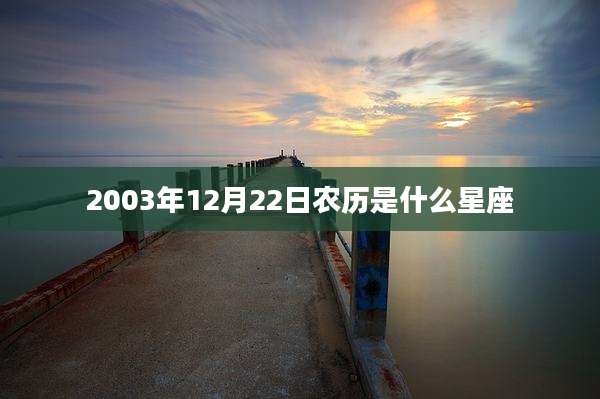 2003年12月22日农历是什么星座
