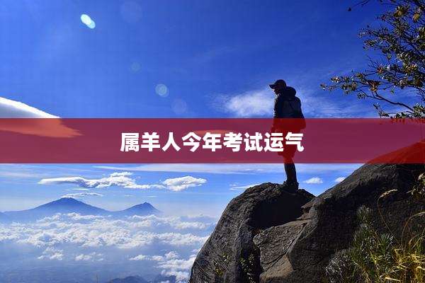属羊人今年考试运气