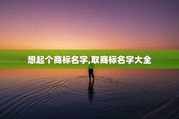 想起个商标名字,取商标名字大全