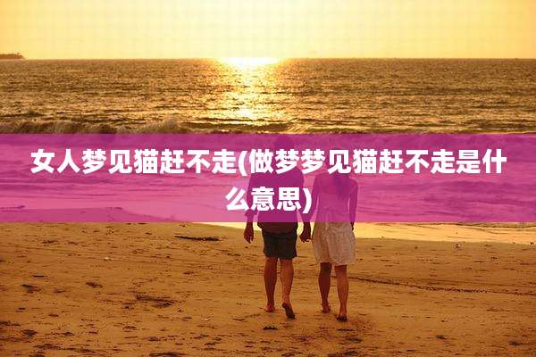 女人梦见猫赶不走(做梦梦见猫赶不走是什么意思)
