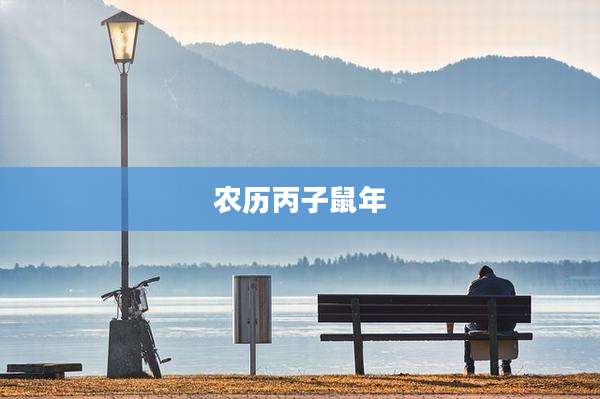 农历丙子鼠年
