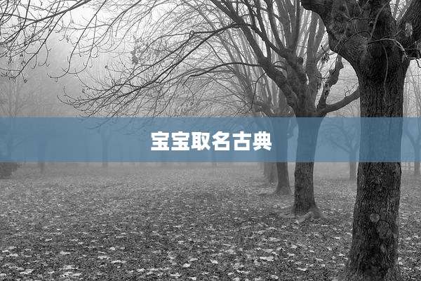 宝宝取名古典