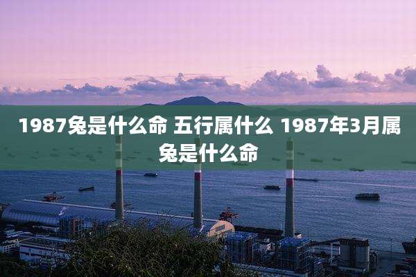 1987兔是什么命 五行属什么 1987年3月属兔是什么命