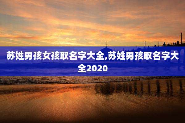 苏姓男孩女孩取名字大全,苏姓男孩取名字大全2020