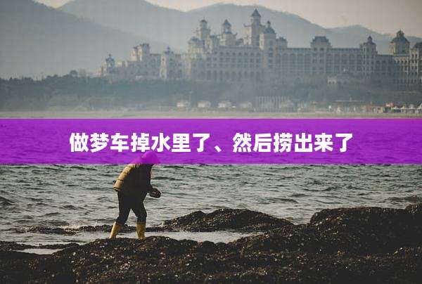 做梦车掉水里了、然后捞出来了