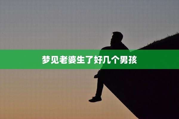 梦见老婆生了好几个男孩