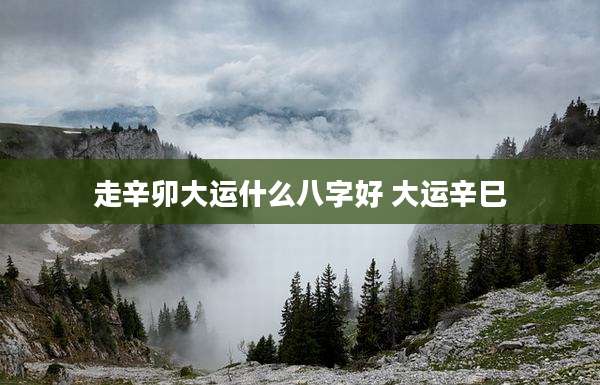 走辛卯大运什么八字好 大运辛巳