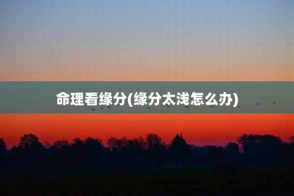 命理看缘分(缘分太浅怎么办)