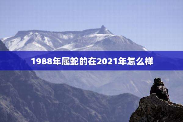 1988年属蛇的在2021年怎么样