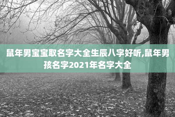 鼠年男宝宝取名字大全生辰八字好听,鼠年男孩名字2021年名字大全