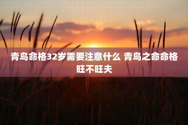 青鸟命格32岁需要注意什么 青鸟之命命格旺不旺夫