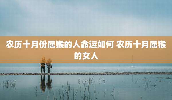 农历十月份属猴的人命运如何 农历十月属猴的女人