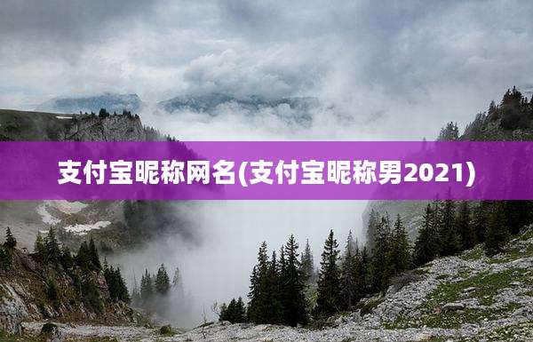 支付宝昵称网名(支付宝昵称男2021)
